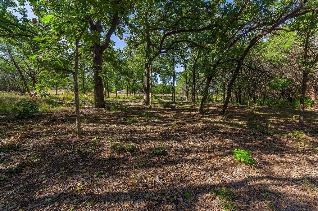 1.16 Acres of Residential Land for Sale in Nemo, Texas