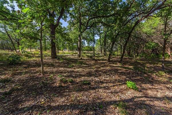 1.16 Acres of Residential Land for Sale in Nemo, Texas