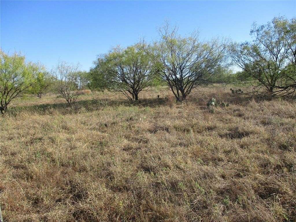 80 Acres of Recreational Land & Farm for Sale in Eastland, Texas