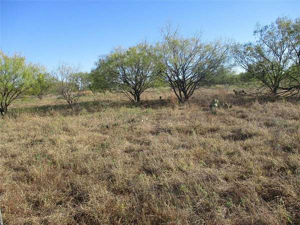 80 Acres of Recreational Land & Farm for Sale in Eastland, Texas