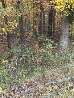 0.23 Acres of Residential Land for Sale in Bella Vista, Arkansas