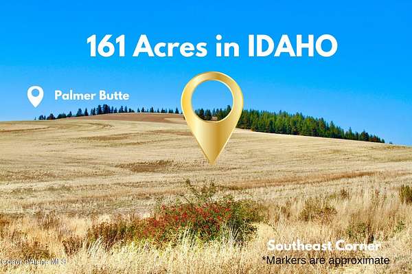 162 Acres of Land for Sale in Potlatch, Idaho