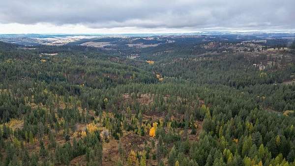30 Acres of Recreational Land for Sale in Mead, Washington