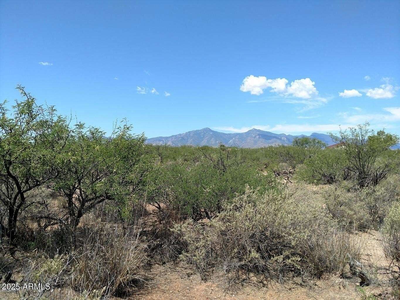 4 Acres of Residential Land for Sale in Hereford, Arizona