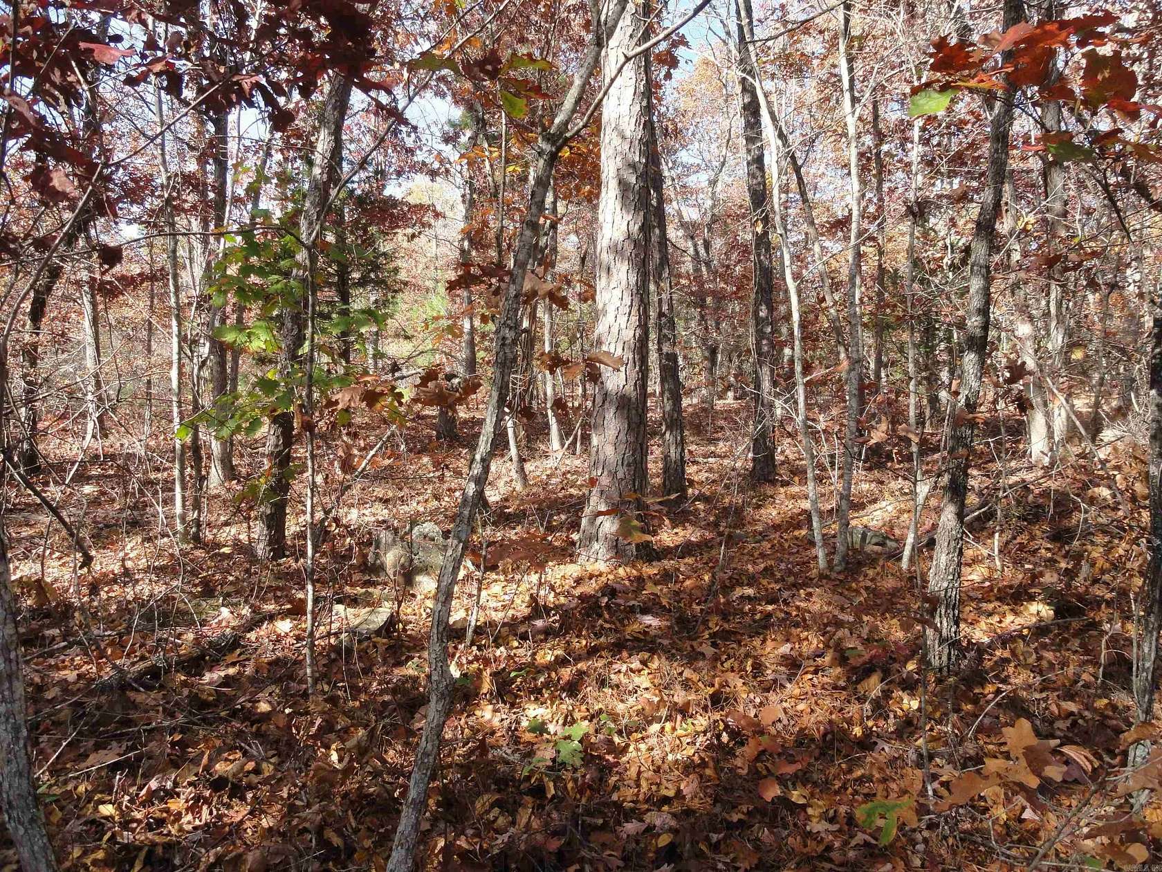 7.5 Acres of Land for Sale in Harriet, Arkansas