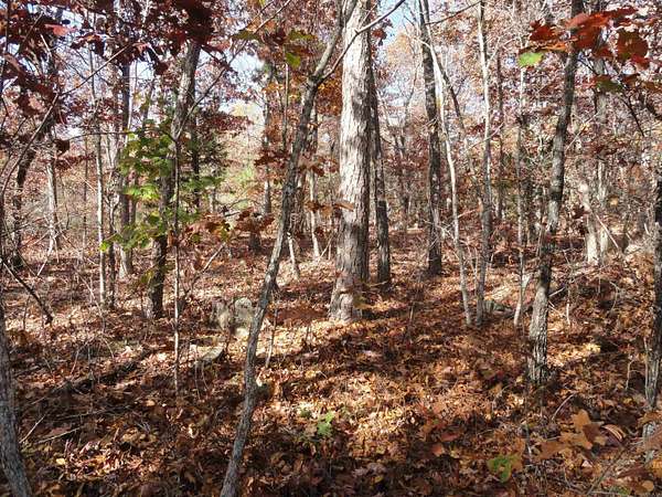 7.5 Acres of Land for Sale in Harriet, Arkansas