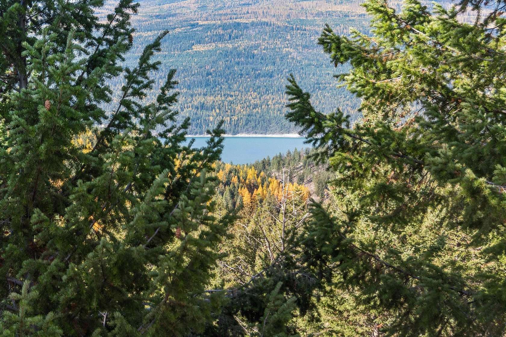 9.56 Acres of Residential Land for Sale in Rexford, Montana