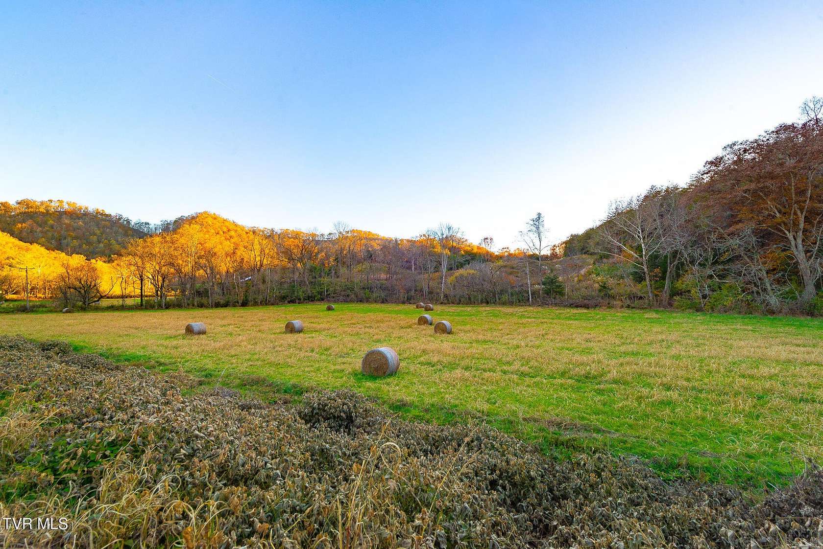 60 Acres of Recreational Land for Sale in Blackwater, Virginia