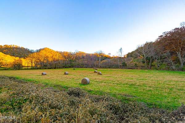 60 Acres of Recreational Land for Sale in Blackwater, Virginia