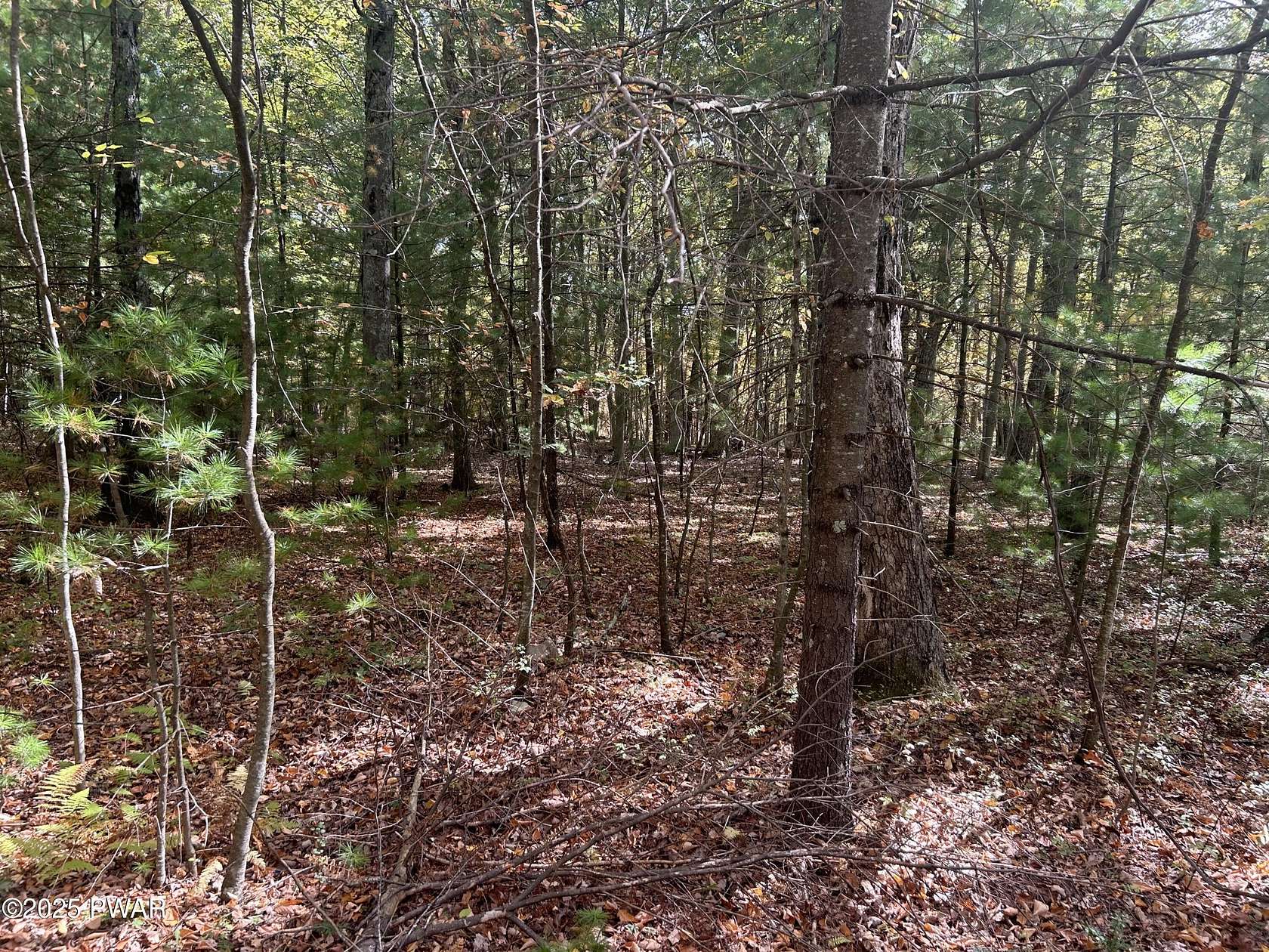 1 Acre of Land for Sale in Dingmans Ferry, Pennsylvania