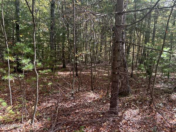 1 Acre of Land for Sale in Dingmans Ferry, Pennsylvania