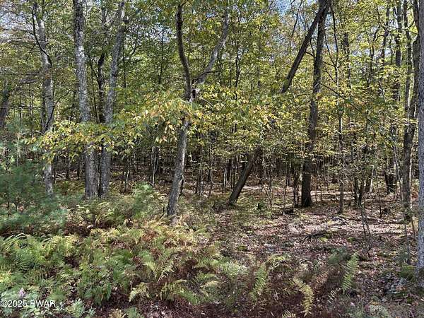 1.12 Acres of Land for Sale in Dingmans Ferry, Pennsylvania