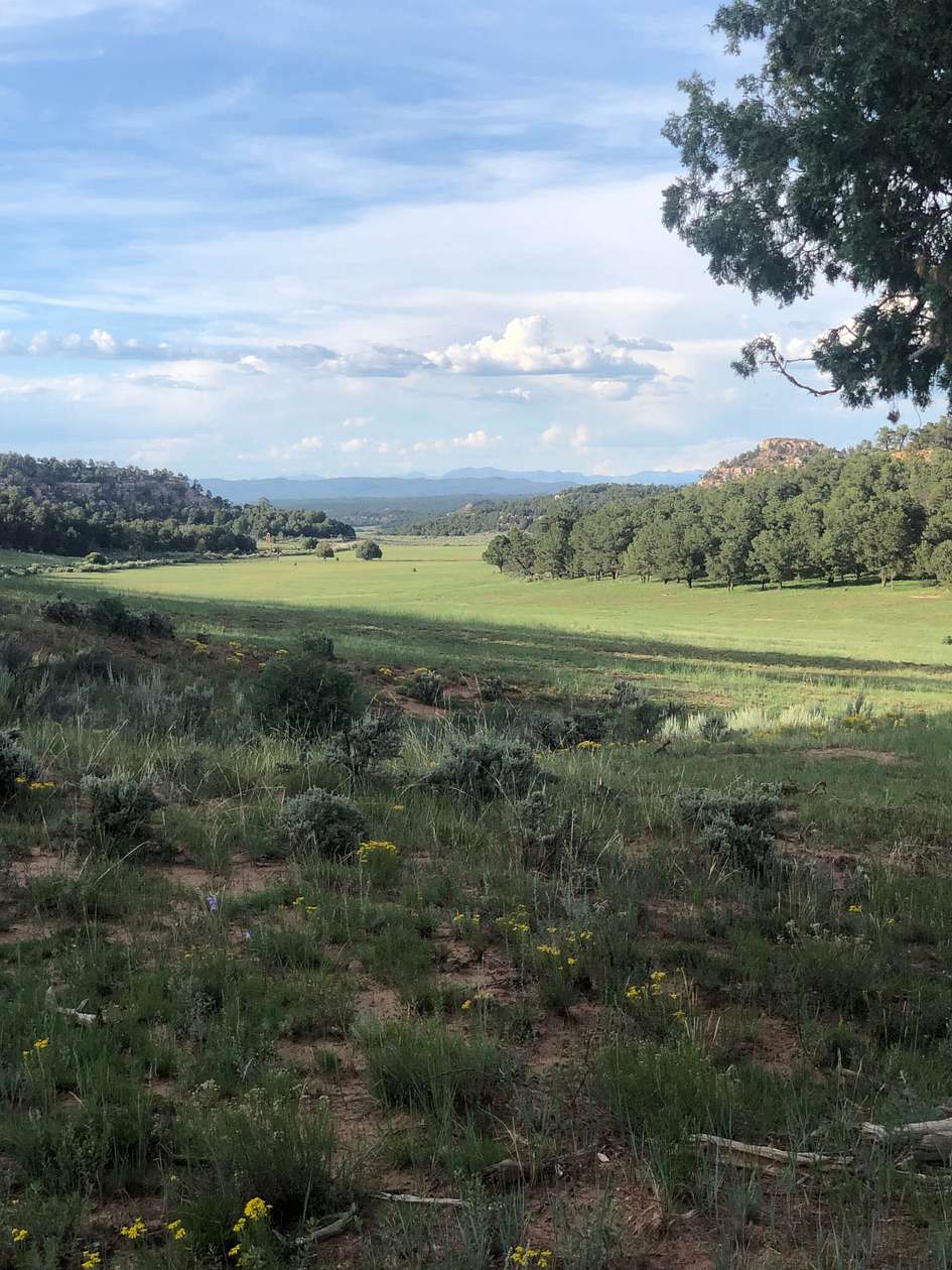 3,048 Acres of Land for Sale in Lindrith, New Mexico
