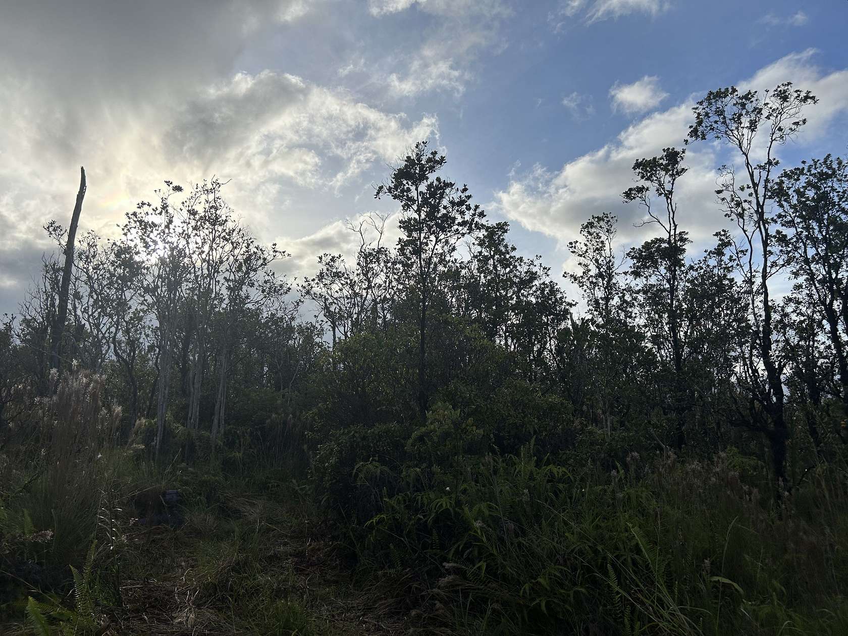 3 Acres of Residential Land for Sale in Volcano, Hawaii