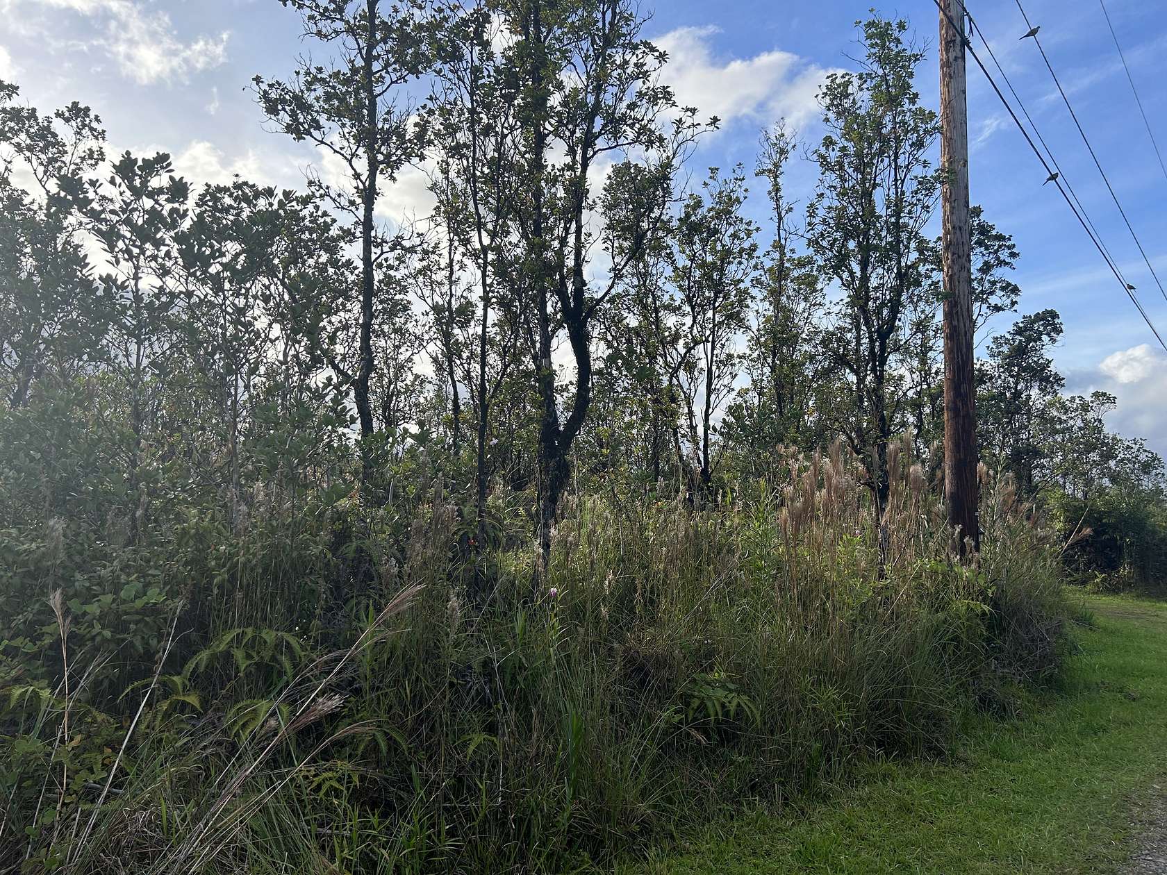 3 Acres of Land for Sale in Volcano, Hawaii