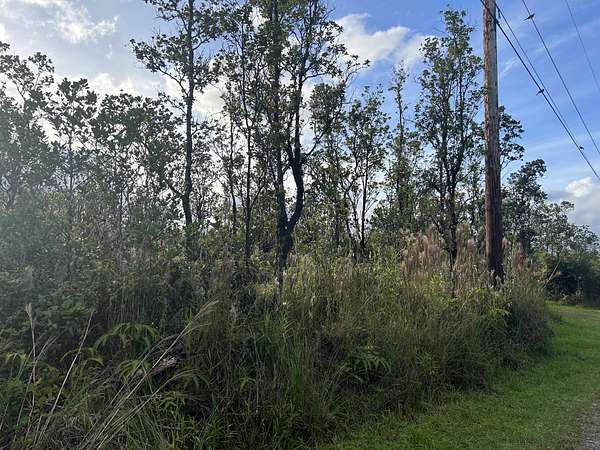 3 Acres of Land for Sale in Volcano, Hawaii