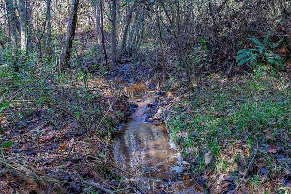 44.8 Acres of Land with Home for Sale in Eastanollee, Georgia