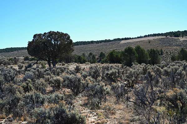 10 Acres of Recreational Land for Sale in Tierra Amarilla, New Mexico