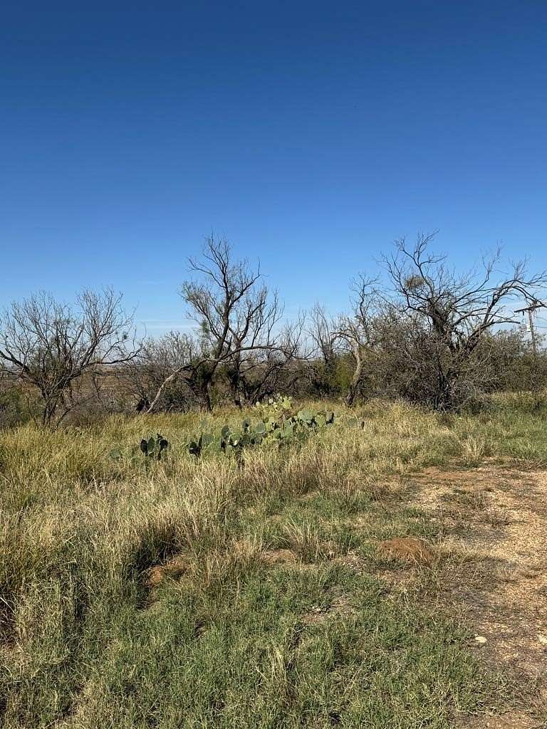 157 Acres of Land for Sale in Loraine, Texas