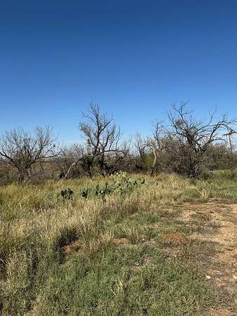 157 Acres of Land for Sale in Loraine, Texas