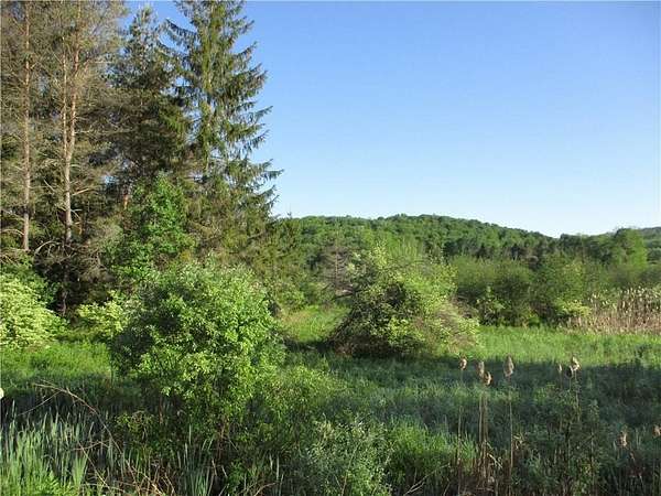 10 Acres of Residential Land for Sale in Smyrna, New York