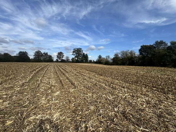 1 Acre of Residential Land for Sale in Big Bend, Wisconsin