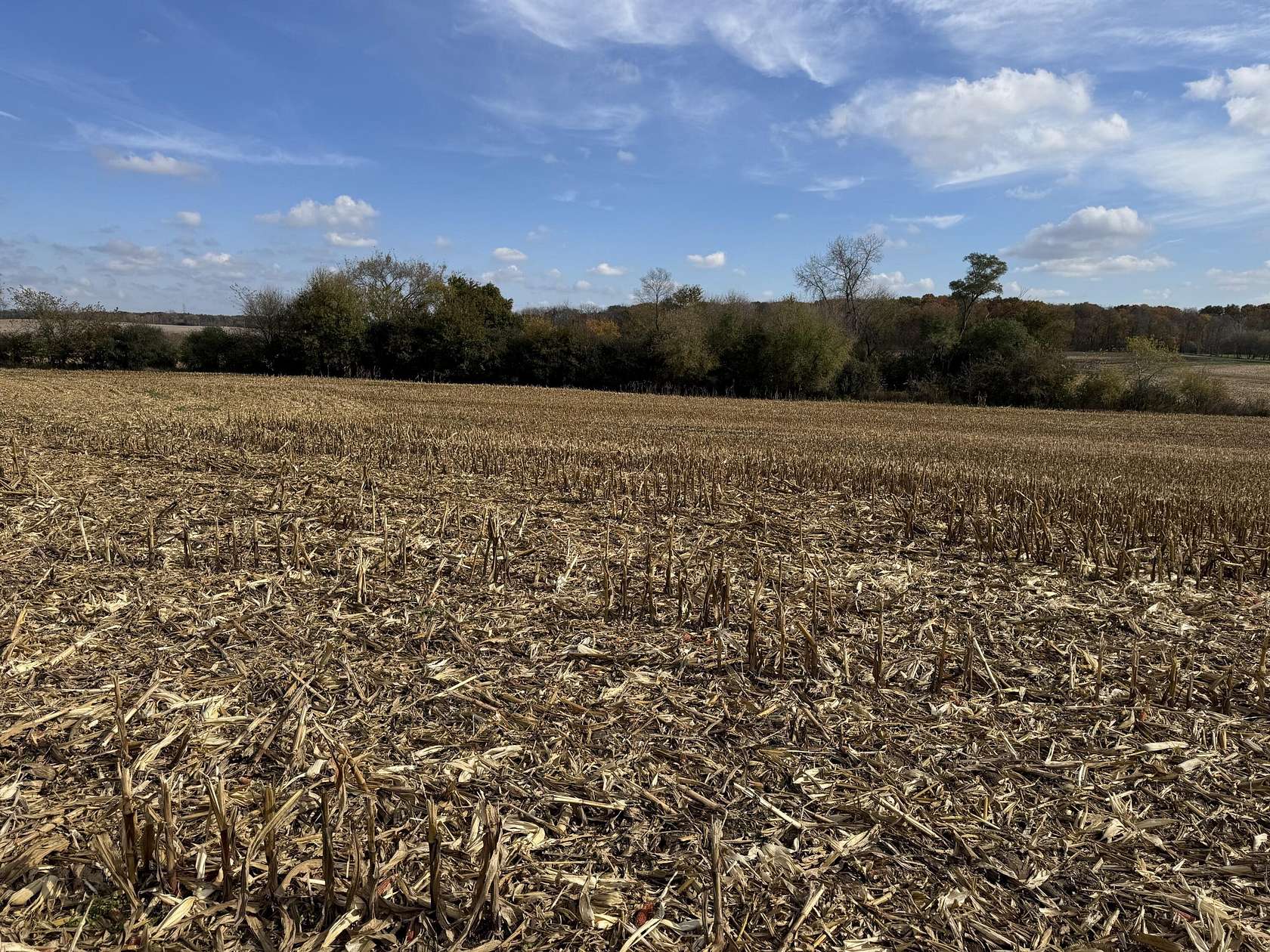 0.89 Acres of Residential Land for Sale in Big Bend, Wisconsin