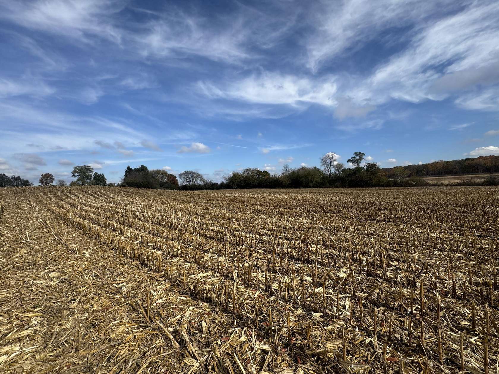 0.8 Acres of Residential Land for Sale in Big Bend, Wisconsin