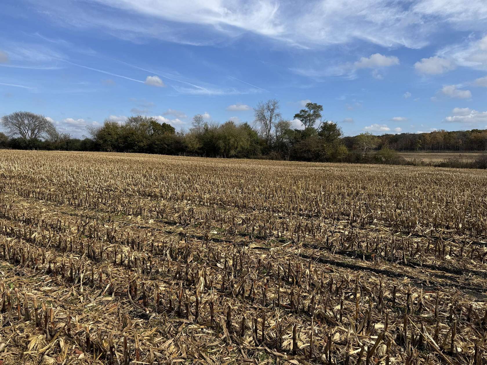 0.77 Acres of Residential Land for Sale in Big Bend, Wisconsin