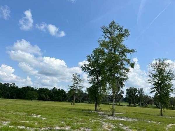 20.7 Acres of Agricultural Land for Sale in Ocala, Florida