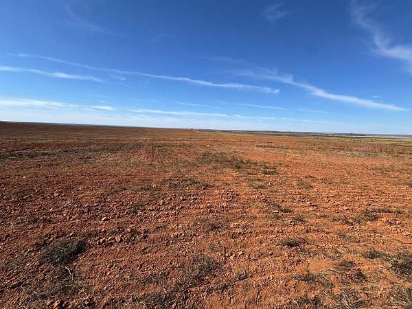 160 Acres of Agricultural Land for Sale in Lakeview, Texas