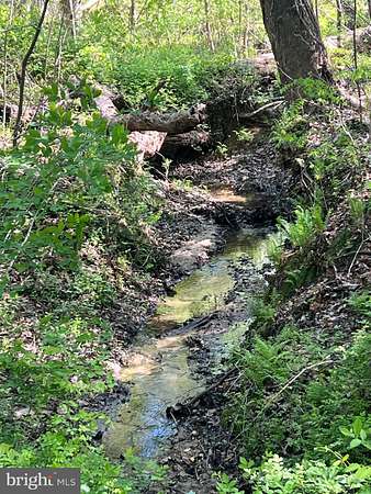 3.34 Acres of Residential Land for Sale in St. Leonard, Maryland