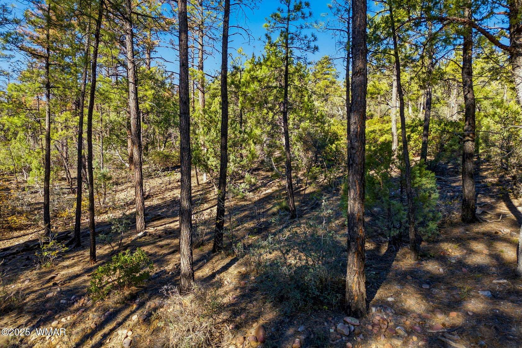 1.32 Acres of Residential Land for Sale in Show Low, Arizona