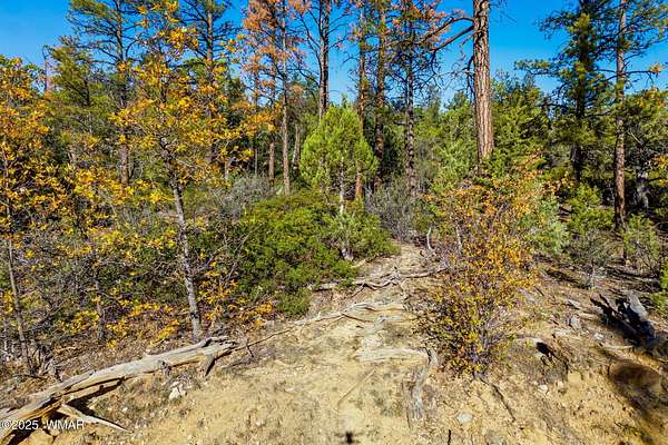 1.32 Acres of Residential Land for Sale in Show Low, Arizona