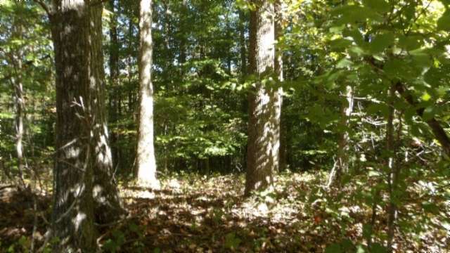 4.47 Acres of Residential Land for Sale in Sparta, Tennessee