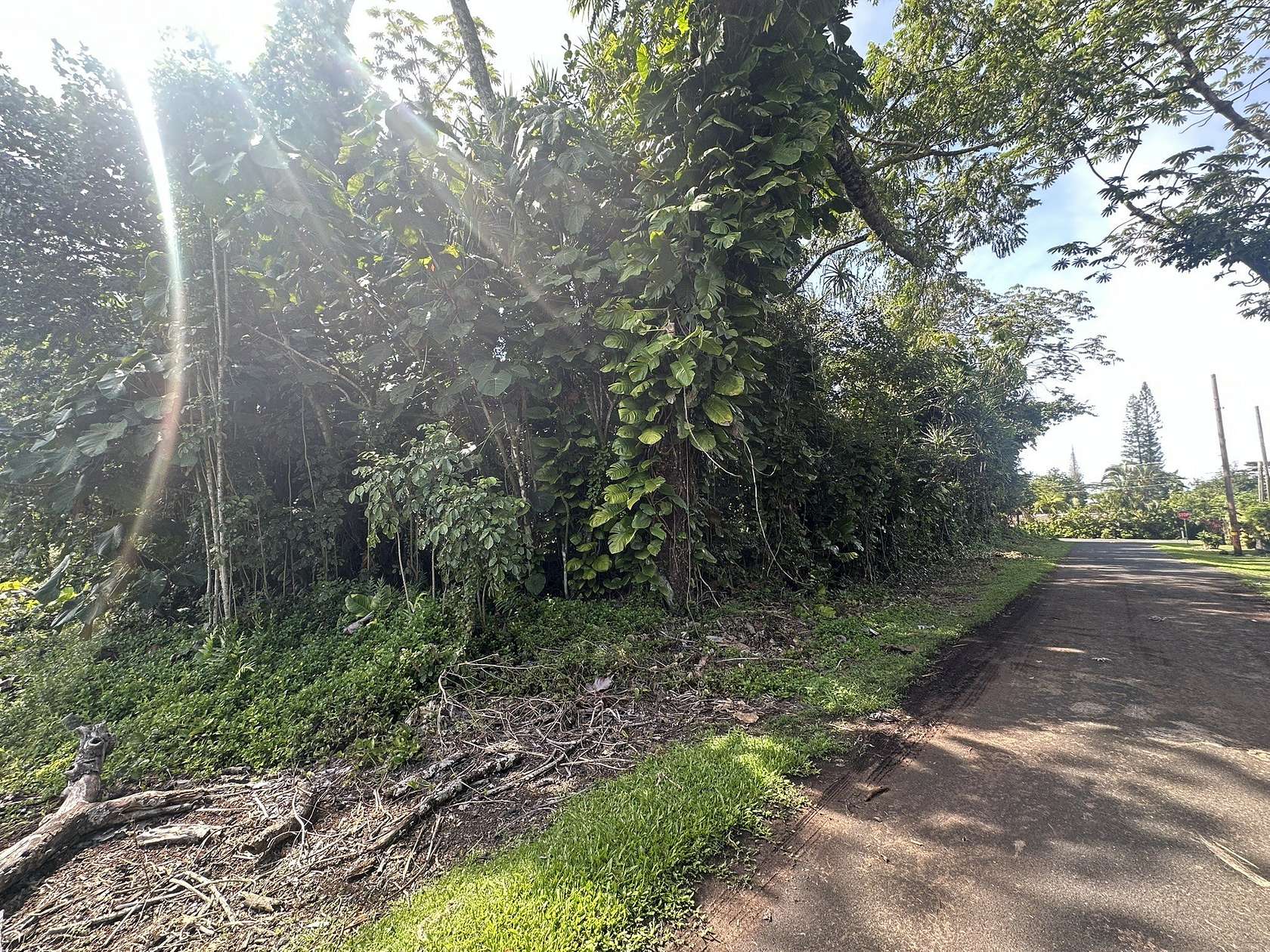 0.21 Acres of Residential Land for Sale in Pahoa, Hawaii