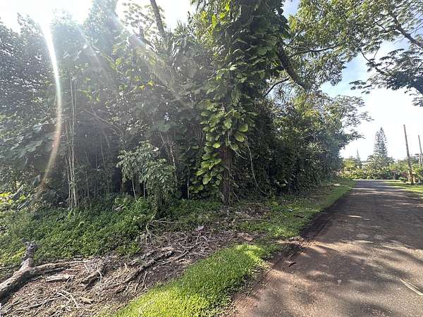 0.21 Acres of Residential Land for Sale in Pahoa, Hawaii