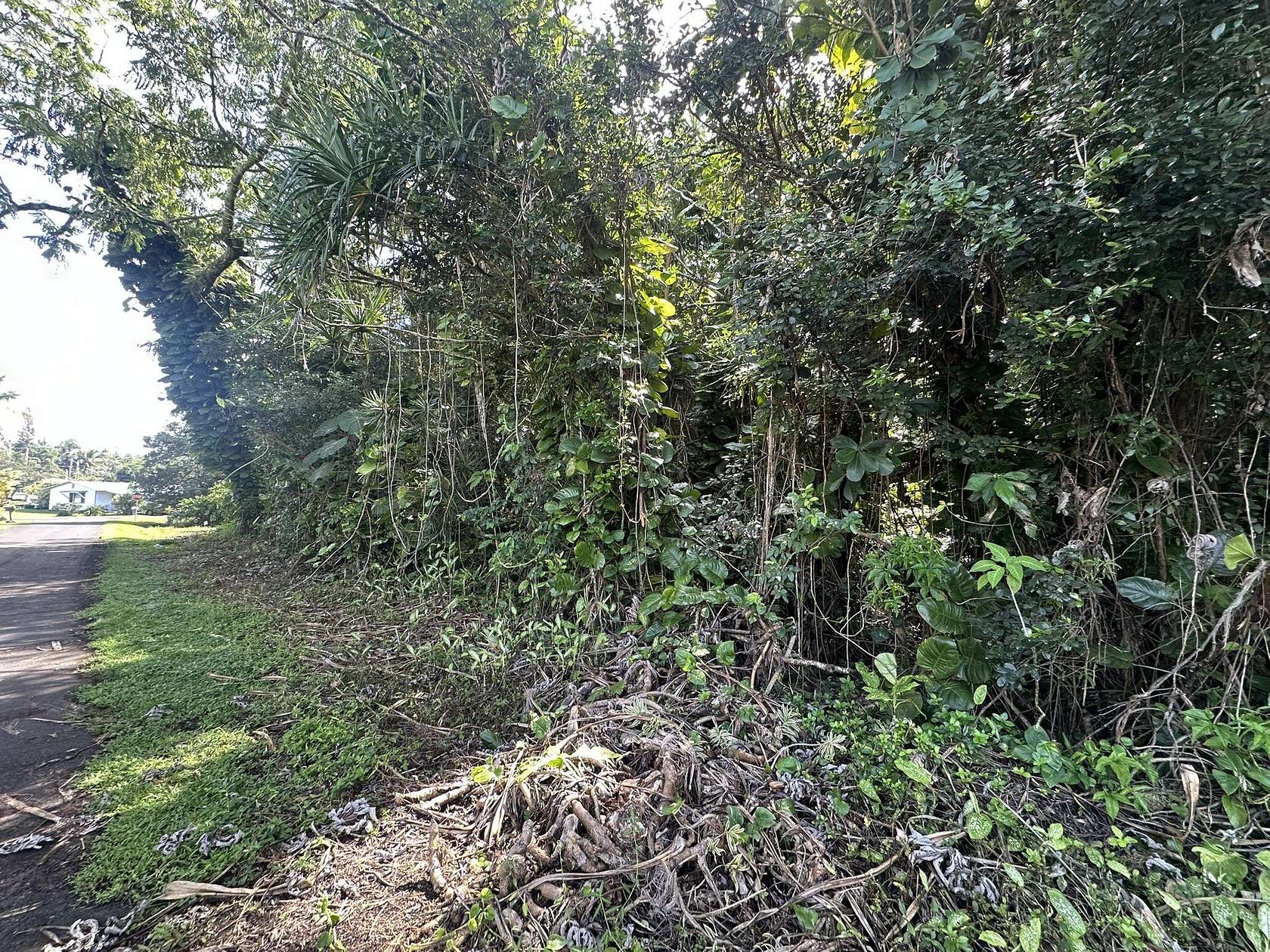 0.21 Acres of Residential Land for Sale in Pahoa, Hawaii