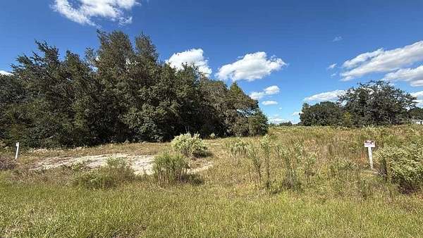 0.46 Acres of Residential Land for Sale in Dunnellon, Florida