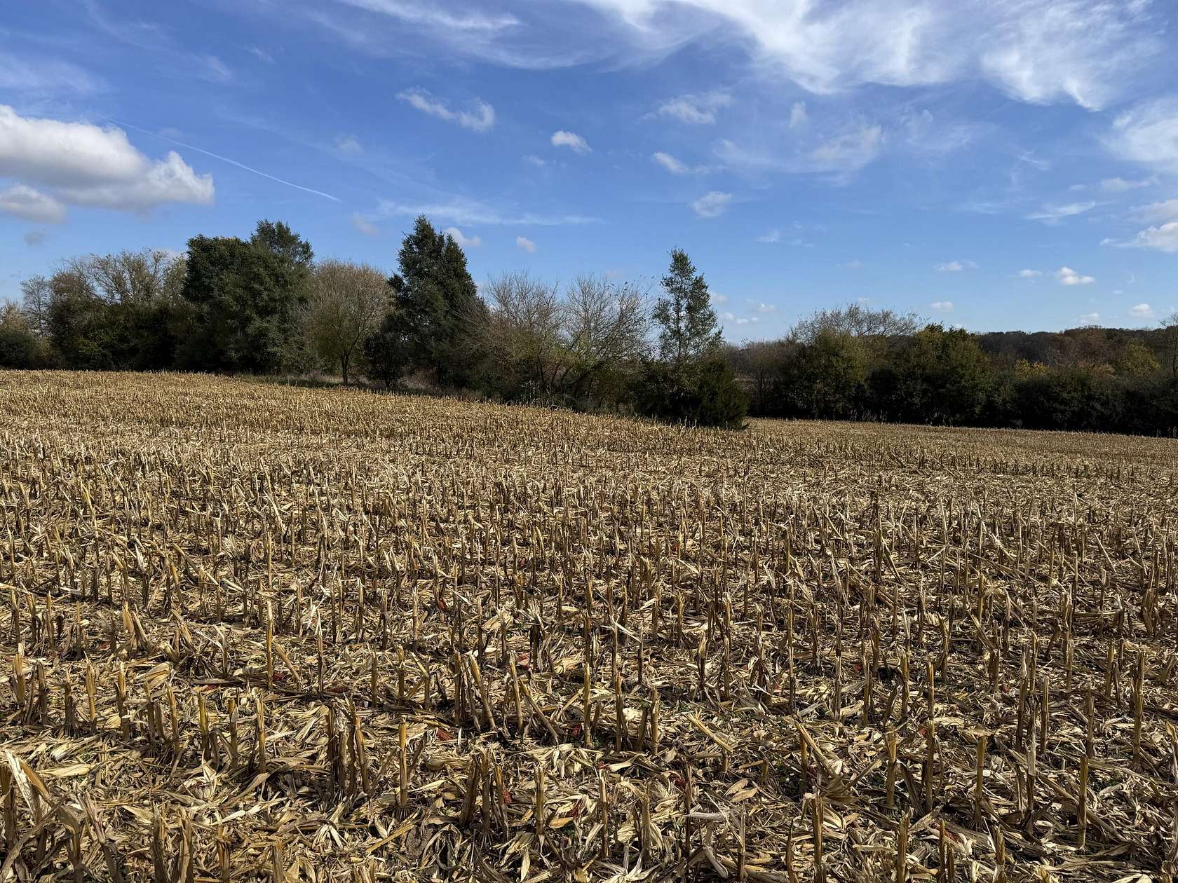 0.89 Acres of Residential Land for Sale in Big Bend, Wisconsin