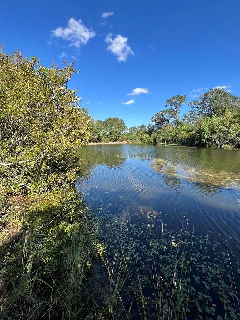 20 Acres of Land for Sale in Poplarville, Mississippi