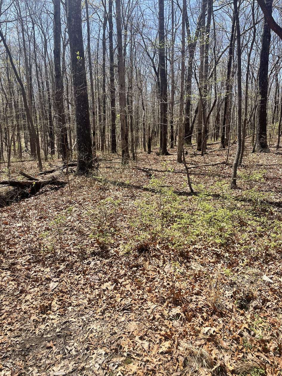7.57 Acres of Residential Land for Sale in Sewanee, Tennessee