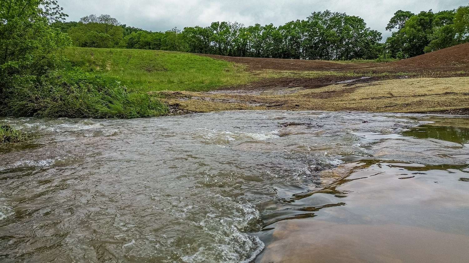 13.9 Acres of Land for Sale in Cornersville, Tennessee