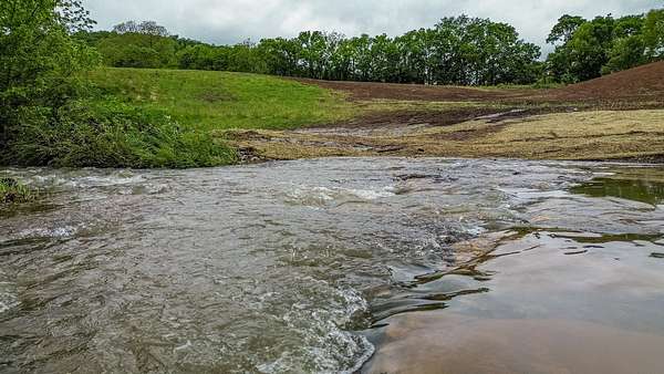 13.9 Acres of Land for Sale in Cornersville, Tennessee