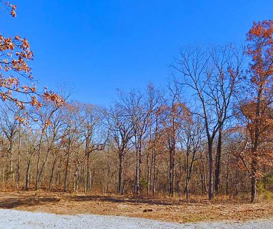 7.42 Acres of Residential Land for Sale in Edwards, Missouri