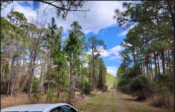0.46 Acres of Residential Land for Sale in Georgetown, Florida