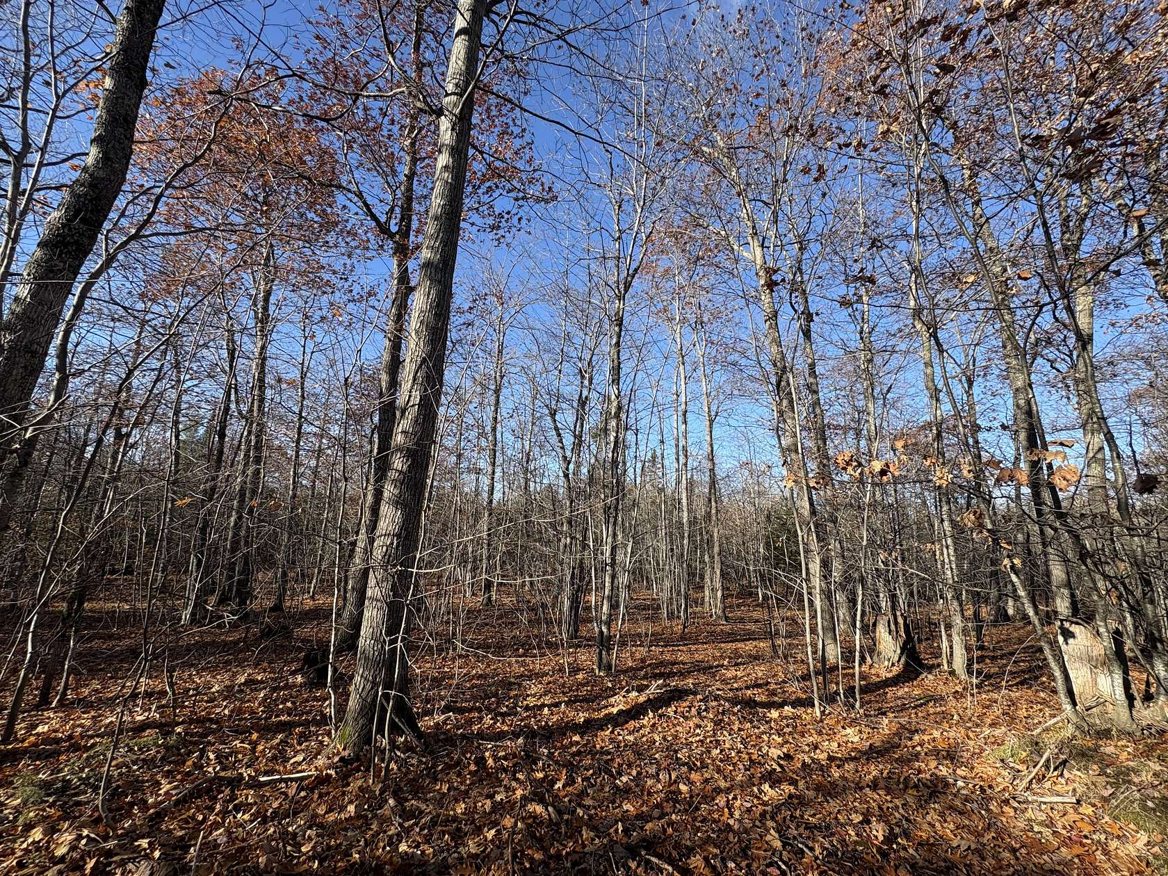 160 Acres of Land for Sale in Allouez Township, Michigan