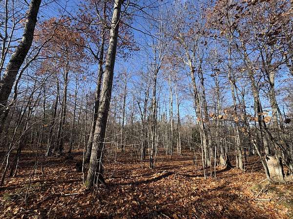 160 Acres of Land for Sale in Allouez Township, Michigan