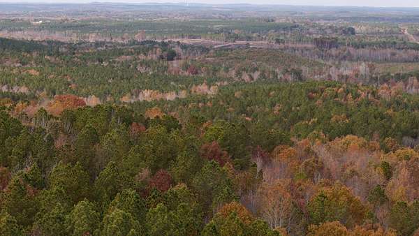378 Acres of Recreational Land for Sale in Steeles Township, North Carolina