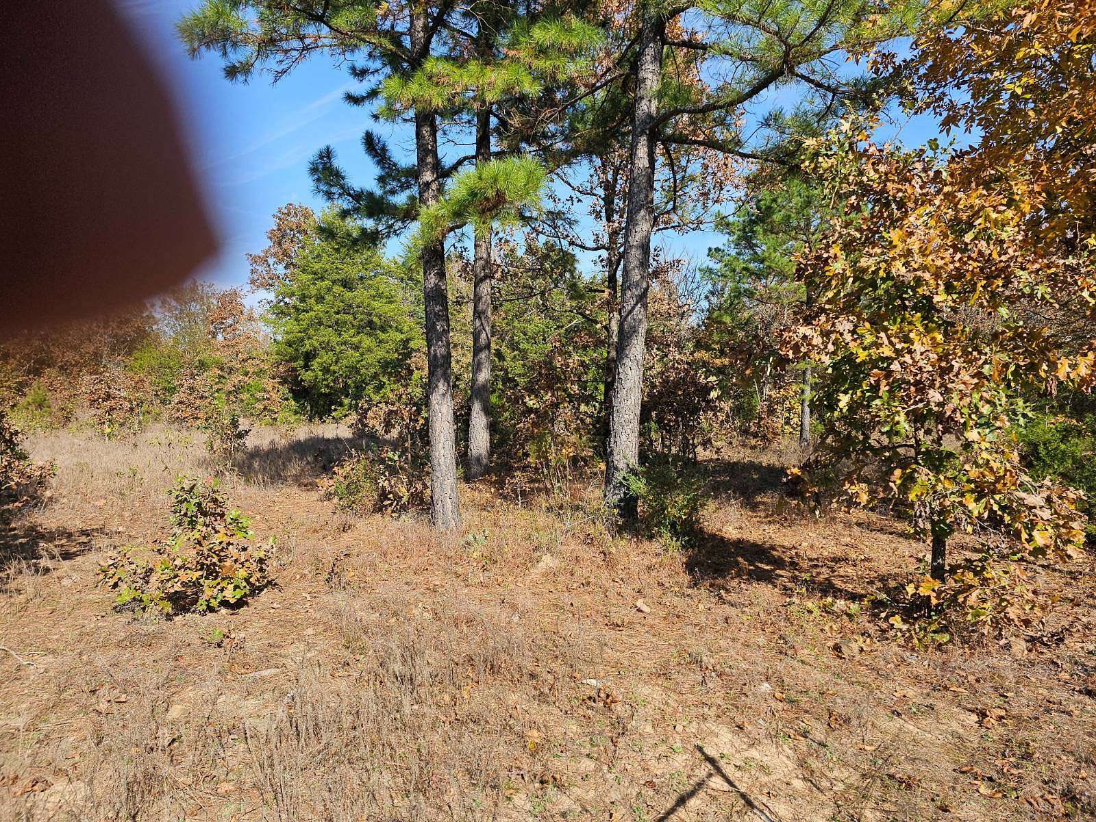 4 Acres of Residential Land for Sale in Talihina, Oklahoma